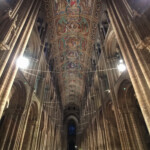 Nave Ceiling Ely Cathedral with Zeiss ExoLens Wide