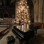 Christmas tree Ely Cathedral with Zeiss ExoLens Wide